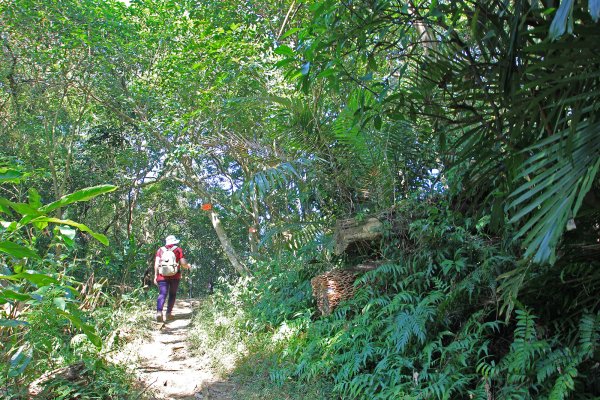 總督府步道.頭寮山752436