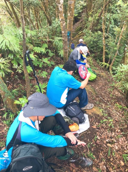 筆架連峰縱走-二格山-草湳-猴山岳前峰957268