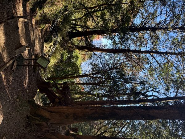 1141215塔山步道2962710