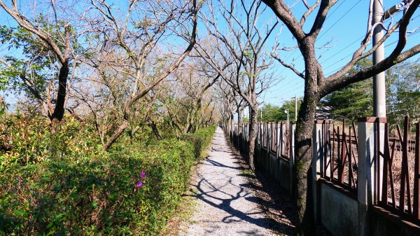 羅東運動公園2690156