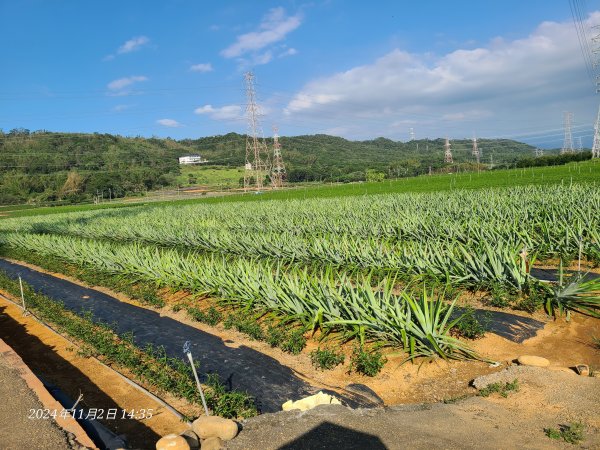 橫山小百岳2659363