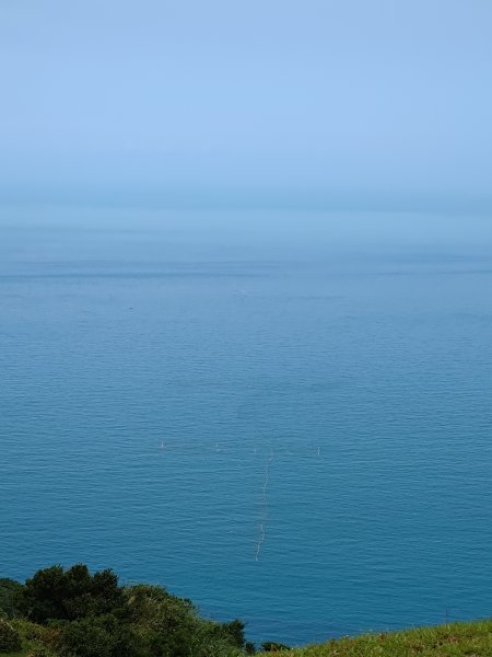20260619草嶺古道3075962