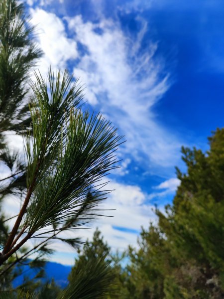 單攻志佳陽2725310