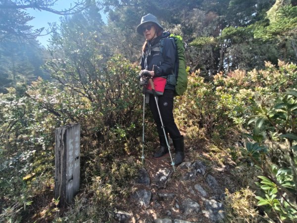 20240322 馬博8天縱走~第七天，馬西山，喀西帕南山2471479