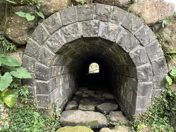 淡基橫斷古道西段(冷擎步道、蜜蜂巢古道、十八彎古道、楓樹湖古道、山仔頂步道)