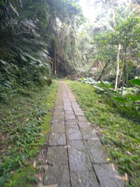 獅山古道一雨中同行1597615