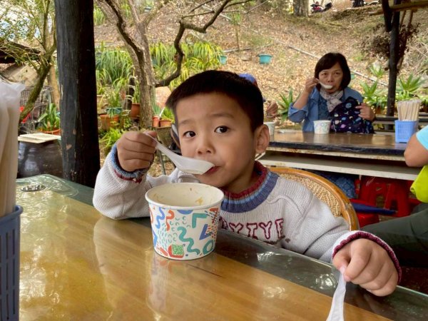 🌈1/17（六）蔡家古厝賞梅×梅子夢工廠×車埕老街✨FB：熊熊趴爬走🌈2983915