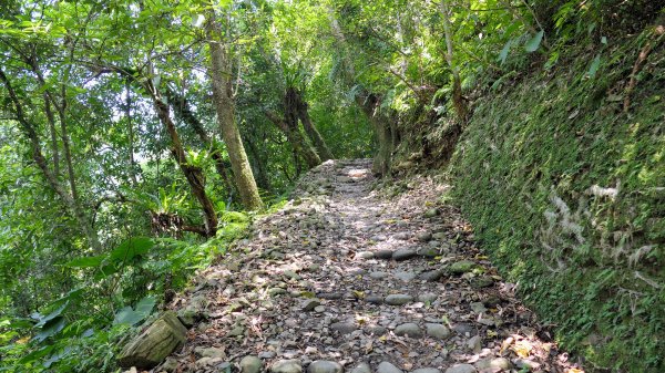 福山部落,內洞森遊區2552402
