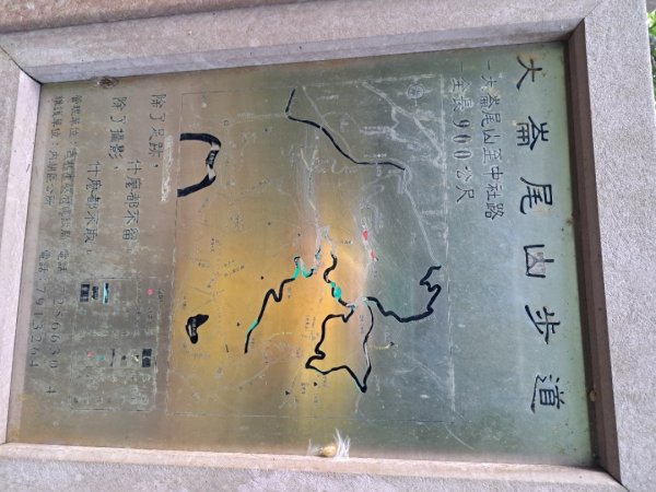 小百岳集起來大崙頭尾山親山步道3127353