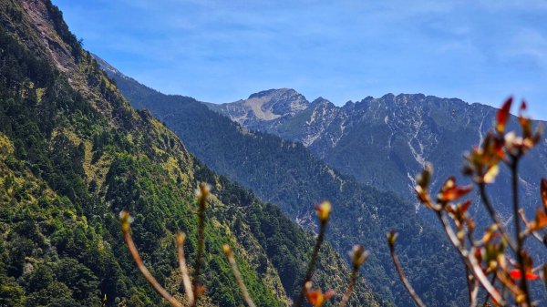 112.04.16 玉山前峰2123751