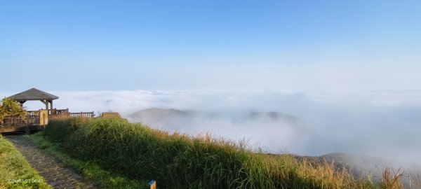 #大屯山 #雲海 3/223019595