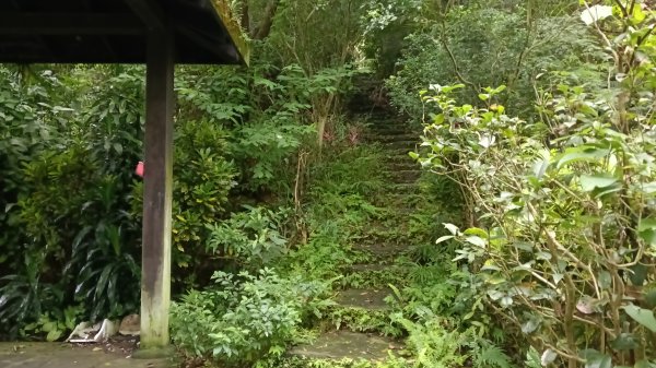 信義區虎山溪步道-岩刻佛像岩下路-四獸山步道-拇指山-南港山-九五峰-麗山橋口步道3076172