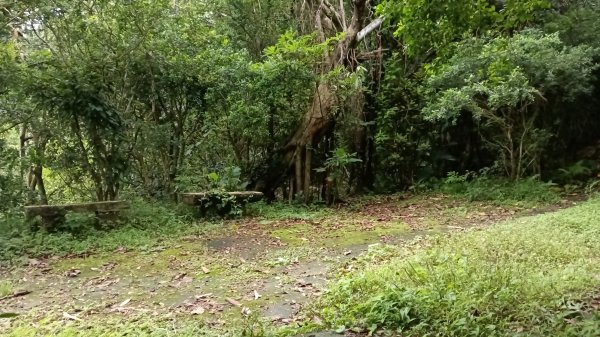 信義區虎山溪步道-岩刻佛像岩下路-四獸山步道-拇指山-南港山-九五峰-麗山橋口步道3076173