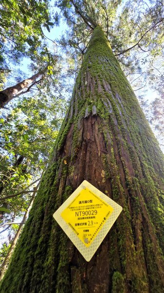 東北季風起遊走雲瀑和山毛櫸間的啦卡山與北插天山登山行2951088