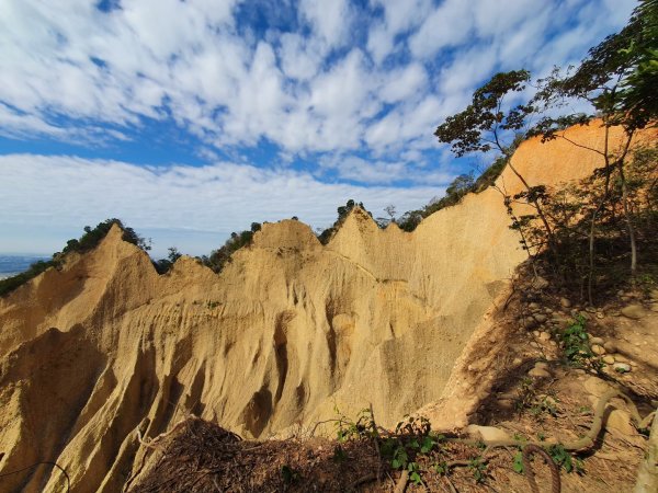 苗栗火炎山，龍峎頂古道，三灣火炎山，新竹蓮華山古道群，飛龍步道，進香古道，載熙古道1610062