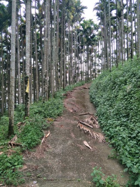 逐鹿古道&雨社山1465943