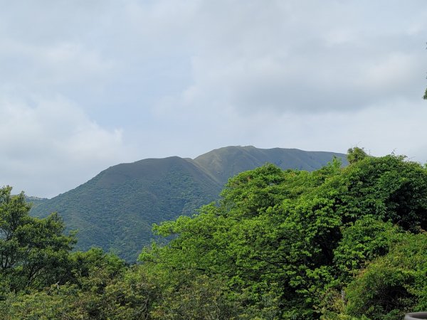 20230404_走遍陽明山_環七星山人車分道-陽金公路段2094497