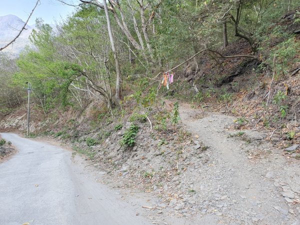 【丹大林道】卡社山&拉夫郞山西北峰1310463