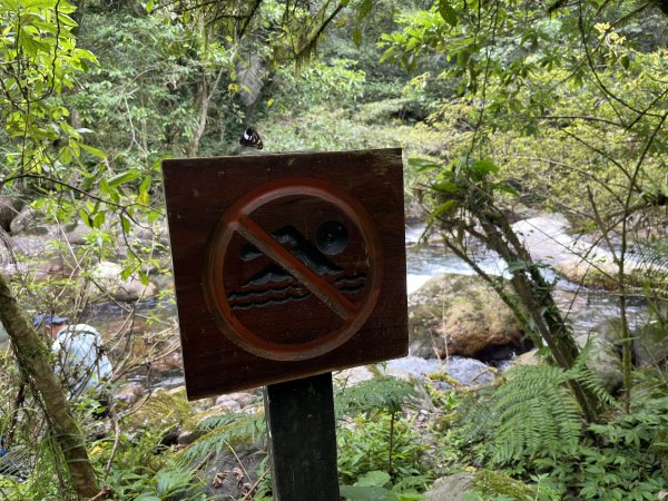 2025_0713 松羅步道2836839