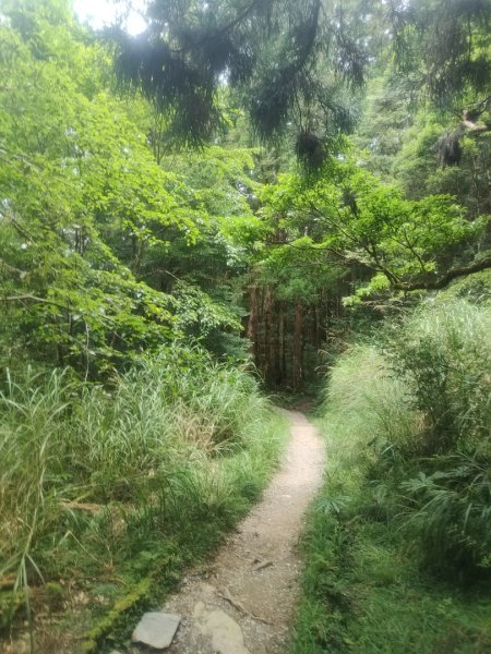 1150728茂興懷舊步道3097231