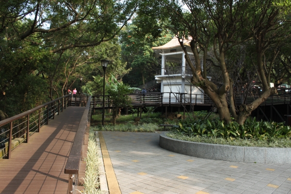 20170107台灣桃園虎頭山步道90651