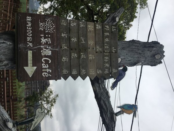 38溪洲山2729736