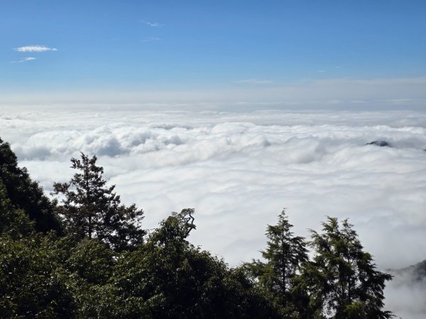 鳶嘴稍來山之楓紅／雲海2974057
