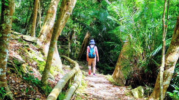 知本森林遊樂區3015077