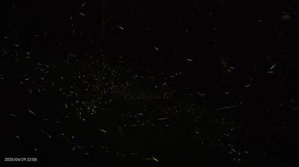 翡翠水庫壩頂 #火燒雲雲海 #日出雲海 #鱷魚島 #藍腹鷴 4/292773449