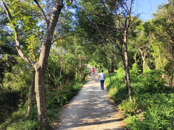 [百山百鳥尋旅-14/15] 2025_0929 劍潭山親山步道2900904