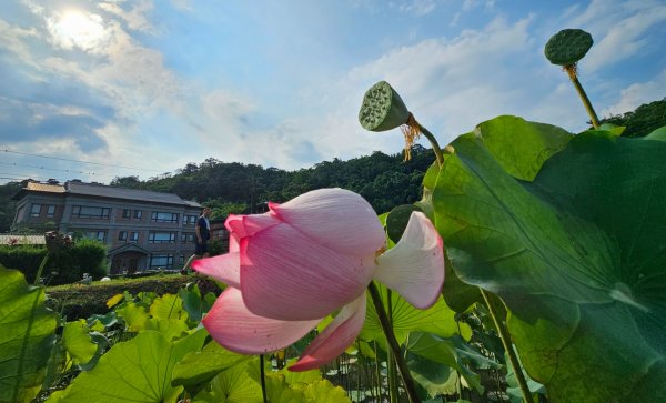 月眉坑瀑布步道.卯澳.雙柑公路2224814