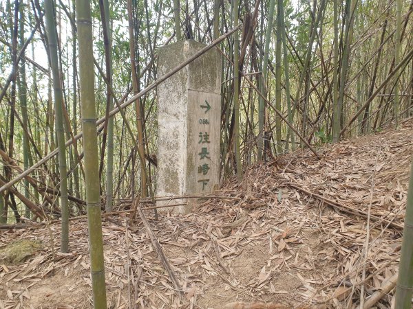 20230124網弦山(苗栗後龍)、友應山(苗栗頭屋)、北坑山(苗栗三灣)2026025