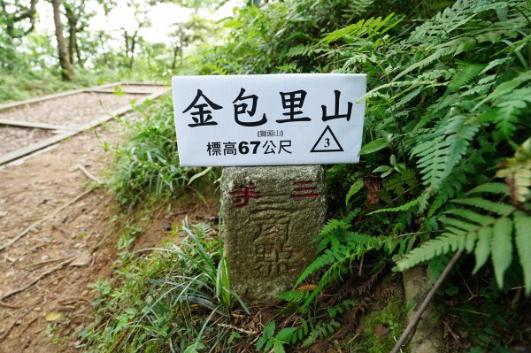 新北 金山 金包里山、磺港山2780923