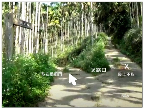 逐鹿古道、雨社山(南投、魚池)2667446