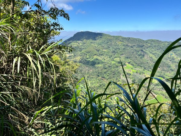 20250822_九份二山（南投小百岳）2941191