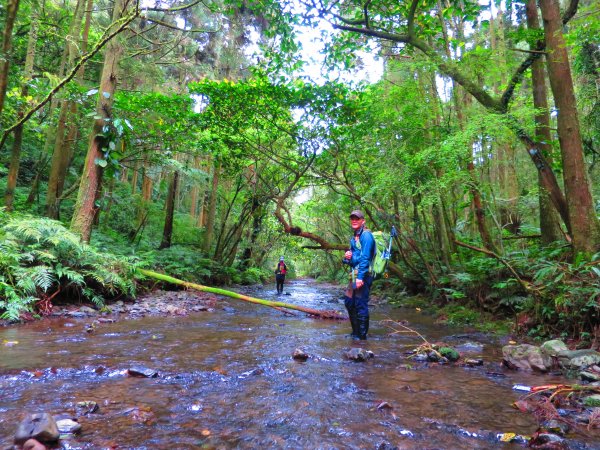 淡蘭古道輕旅行 坪溪古道出外澳 健行筆記