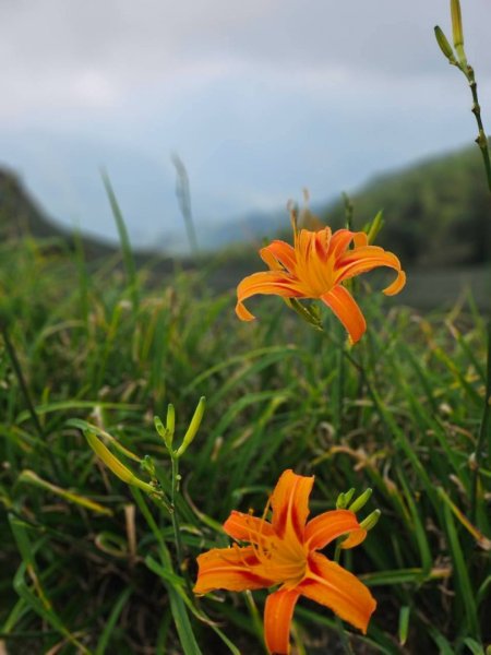 20260921 樟湖生態國小登後棟仔山挑筍古道上大、二尖山3121211