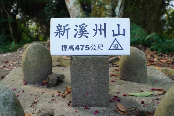 桃園 大溪 新溪洲山、溪洲山、林嵩壽山、內湳溝山、頭寮山3006208
