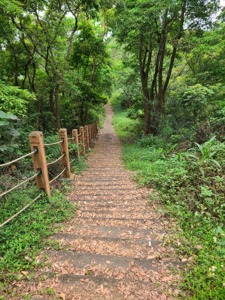 挑水古道+十八觀音步道+大峰巷步道+碧山古道O繞2766200