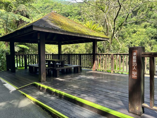 內洞國家森林遊樂區2806865