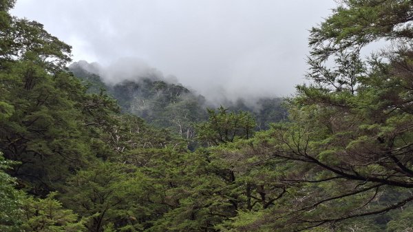 20251026合歡溪步道2926498