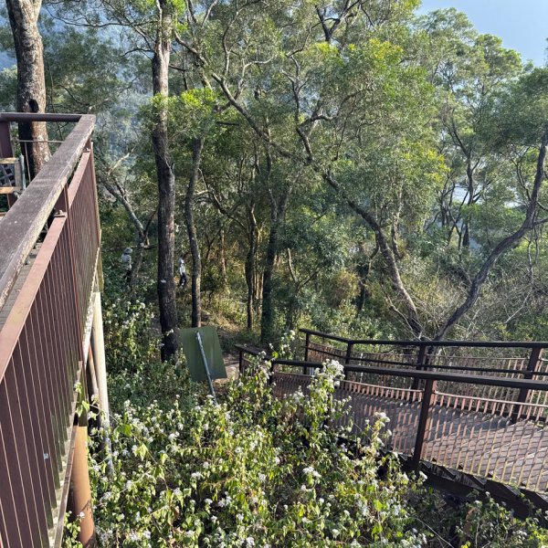 20251213 高雄－臺灣百大必訪步道龍頭山步道2969133