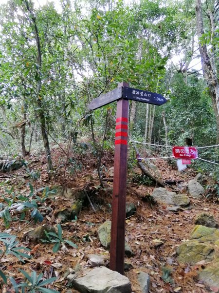 【台中。和平】谷關七雄入門款。 唐麻丹山874514