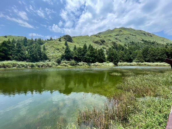 230807-小百岳#002 七星山+雙坑O繞（小油坑-冷水坑），美美兔享受七星風大的痛快。2279518