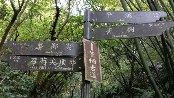 平溪區石筍尖步道P字走3122354