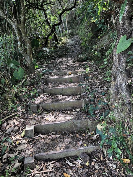 梅峰古道.獵鷹尖 一線天597022