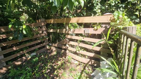 20250925柑子坑山動01-動04-市929-市582894946