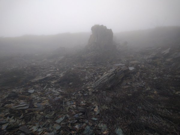 百岳：-合歡山主峰1186653