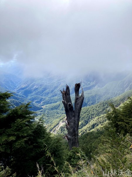 2023-11-27 玉山主峰2365064