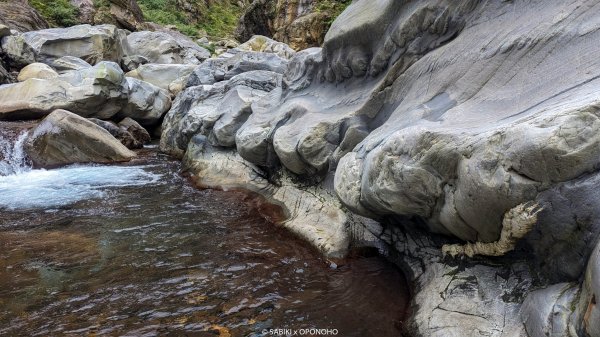 【魯凱，Oponoho】濁口群(下三社)，舊萬山 - 歐布諾伙2396109